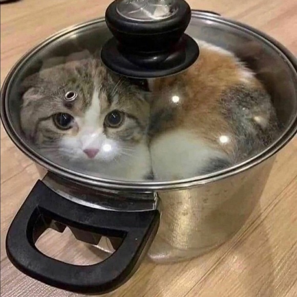 Meet your Posher, Nathan - Picture 1 of 1